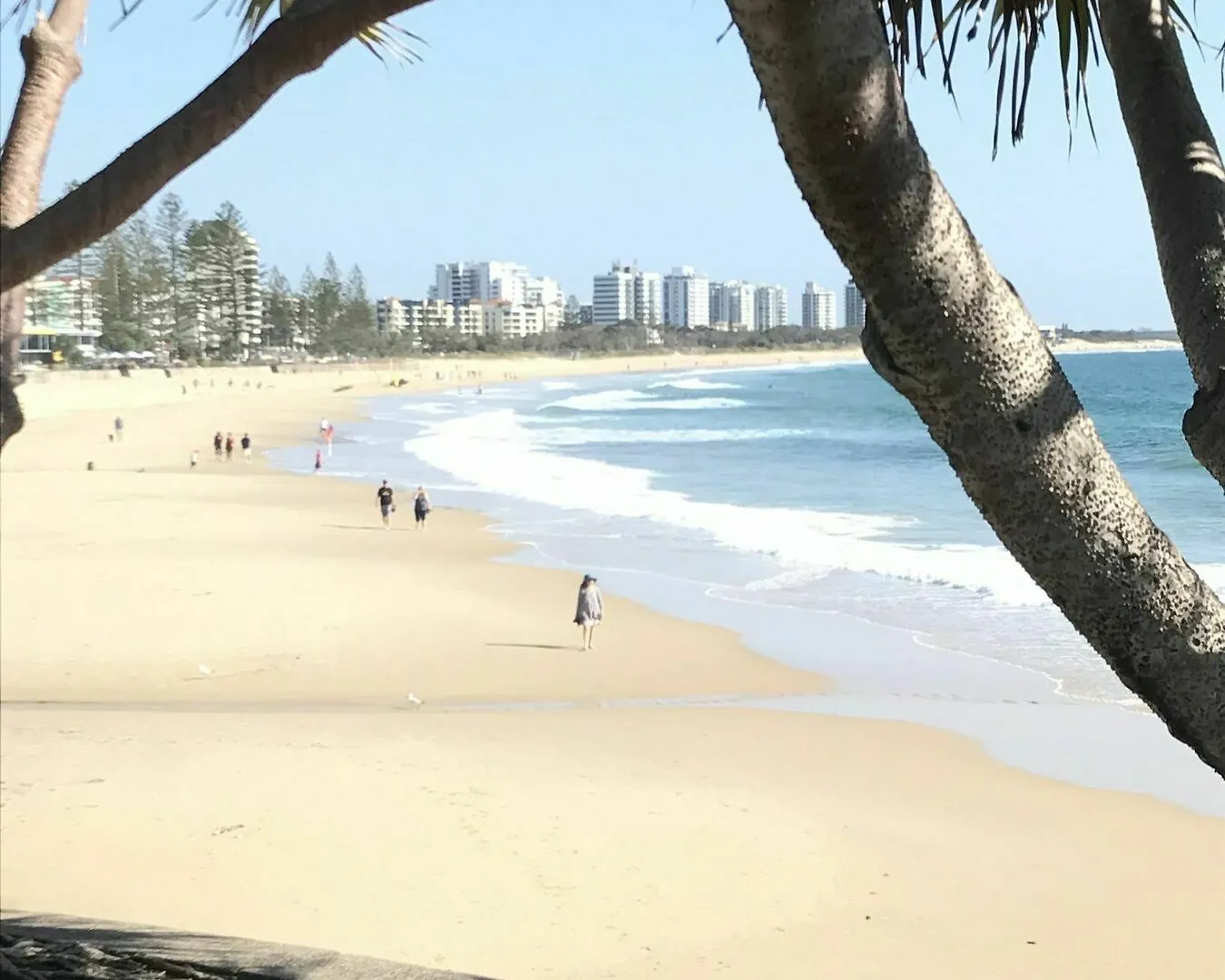 Meridian Alex Beach Apartments Alexandra Headland Resort