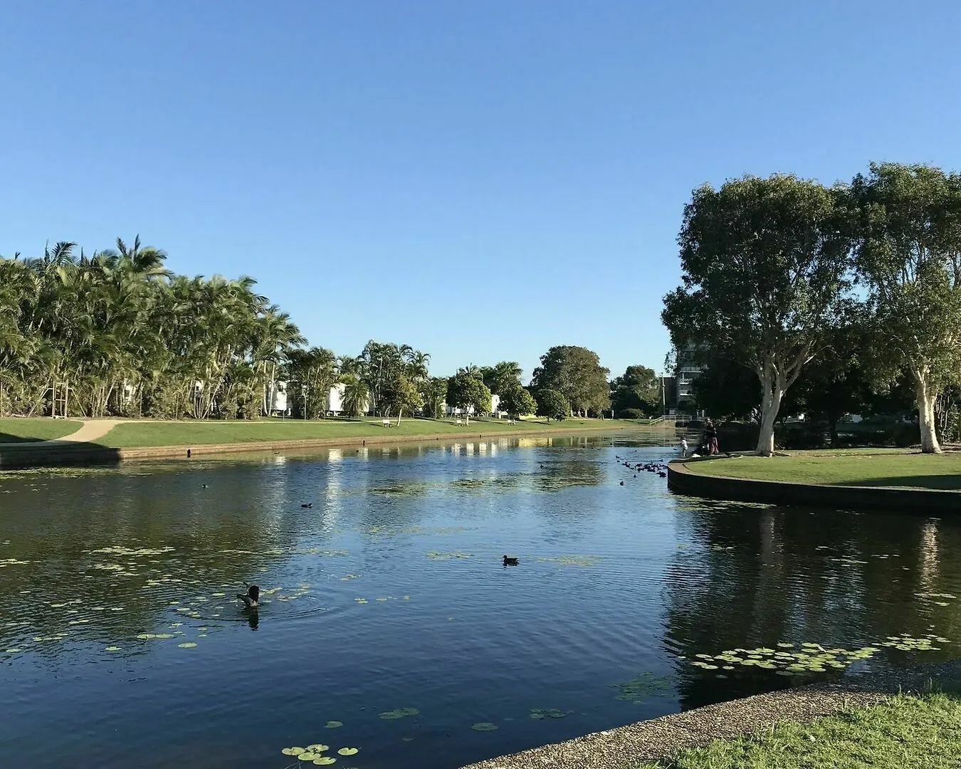 **** Resort Meridian Alex Beach Apartments Alexandra Headland Australia